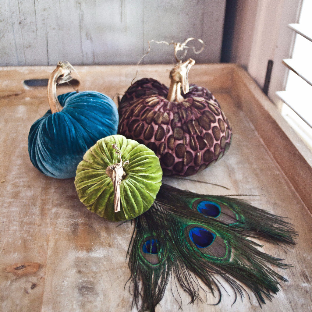 Velvet Pumpkins: Peacock Collection – Plush Pumpkin