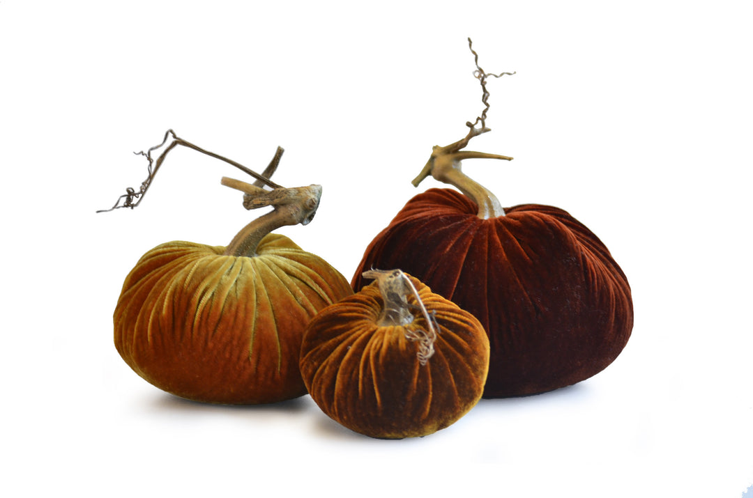 The Perfect Autumn Pumpkin Trio hotsell